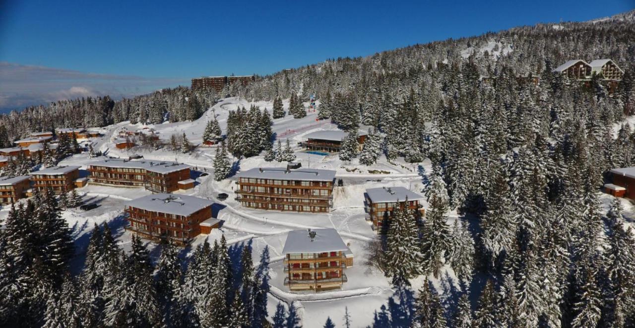 Charmant Appartement Confortable Pour 6 Personnes 40M2 Pied Pistes, Piscine, Wifi, Parking 尚鲁斯 外观 照片